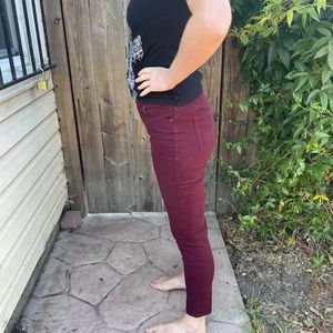 Gloria Vanderbilt “Avery” Pants